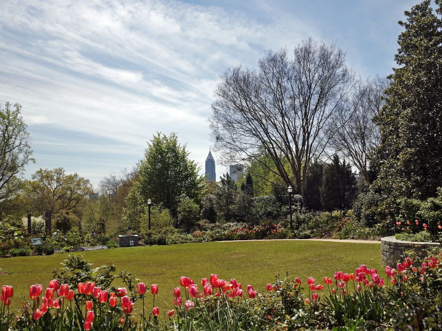 city view from atlanta botanical garden